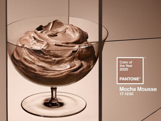 Dé kleur van 2025 is geworden… Mocha Mousse van Pantone